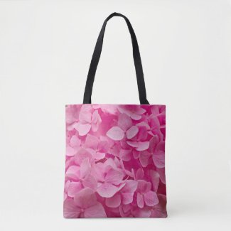 Pink Hydrangea