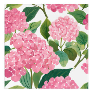 Pink Hydrangea Watercolor Floral Coastal Acrylic Print