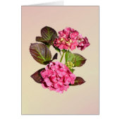 Pink Hydrangea With Leaves (Front)