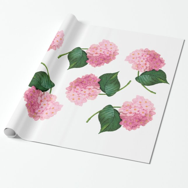Pink Hydrangea Wrapping Paper (Unrolled)