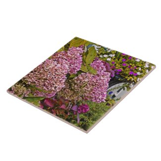 PINK HYDRANGEAS AND IMPATIENS