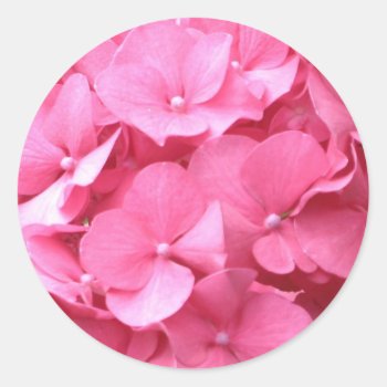Pink Hydrangeas Classic Round Sticker by ggbythebay at Zazzle