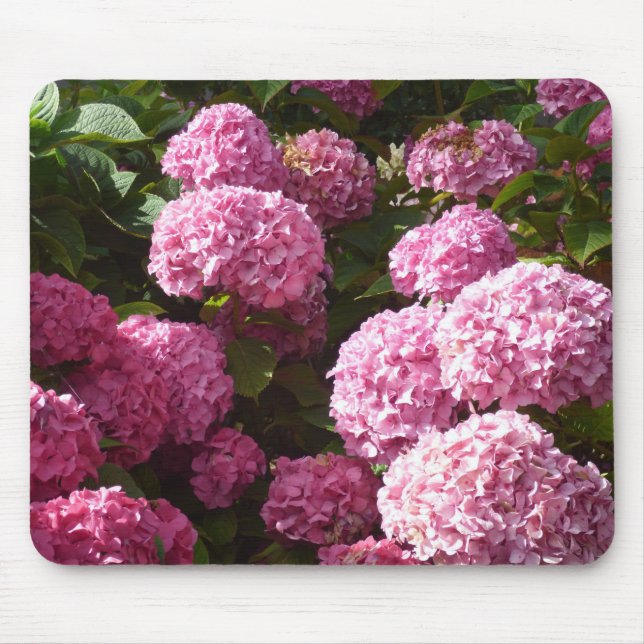Pink Hydrangeas Mouse Pad (Front)