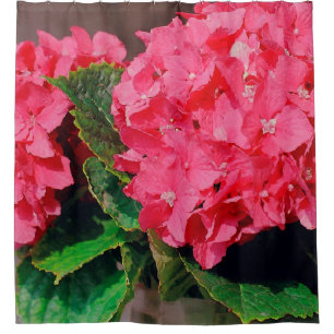 Pink Hydrangeas Shower Curtain