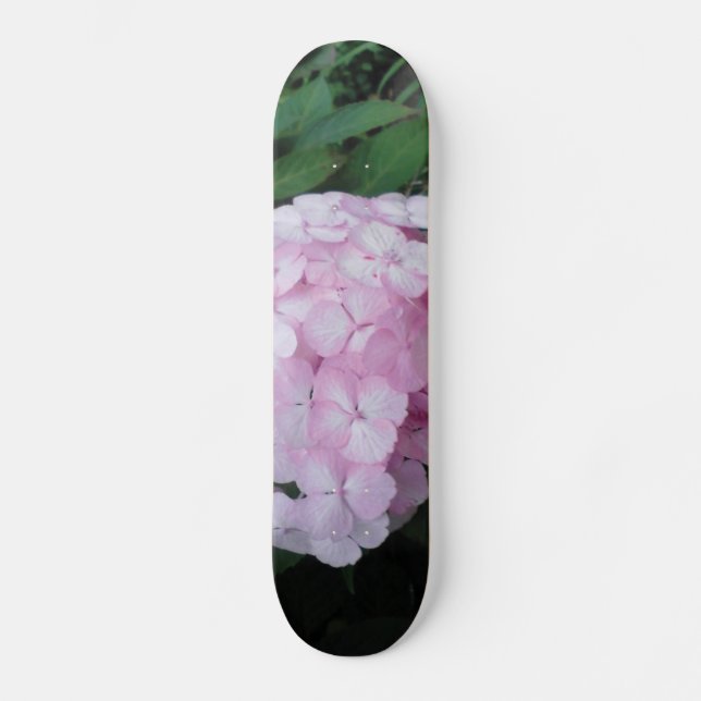 Pink Hydrangia Skateboard Deck (Front)