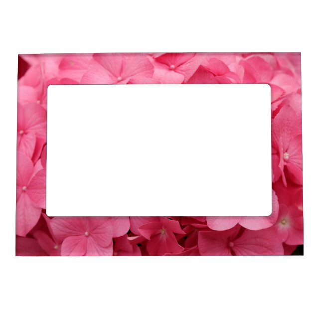 Pink hydrngea flowers magnetic photo frame (Front)