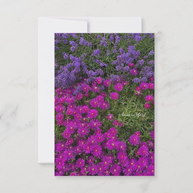 Pink Ice Plant & Lavender Note Card (Front)