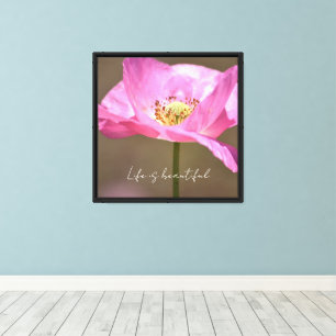 Pink Iceland Poppy Flower (photography by me) Canvas Print
