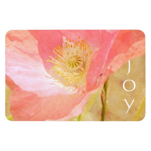 Pink Iceland Poppy Joy Magnet (Horizontal)