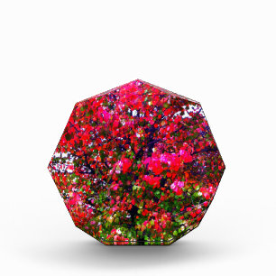 Pink impressionistic Autumn Leaves trees Acrylic Award