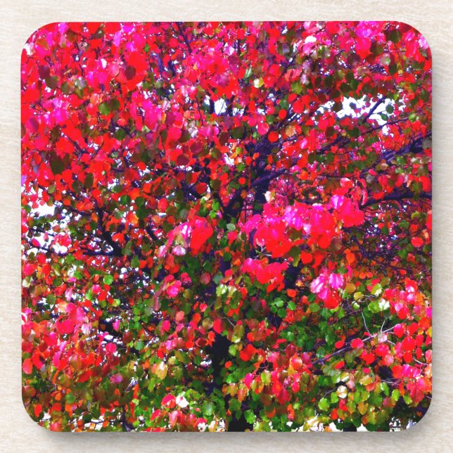 Pink impressionistic Autumn Leaves trees Beverage Coaster (Front)