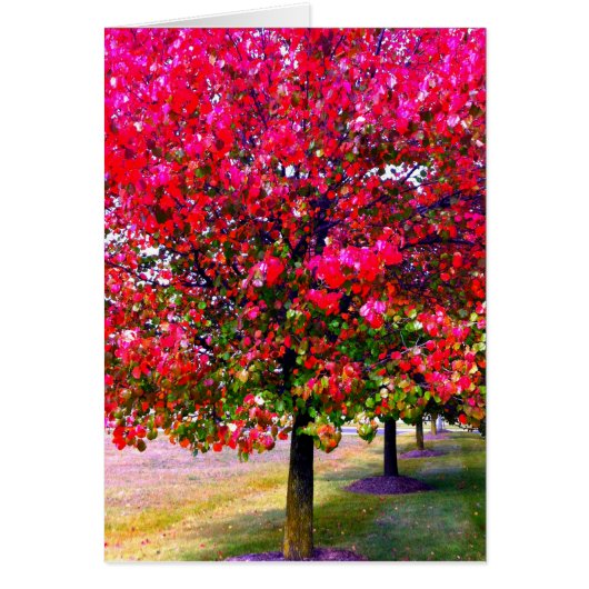 Pink impressionistic Autumn Leaves trees Cards (Front)