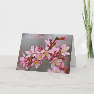 Pink in A Gray Sky Mother's Day Cherry Blossoms Card