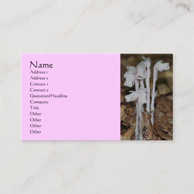 Pink Indian Pipe Wildflowers Nature Business Card (Front)