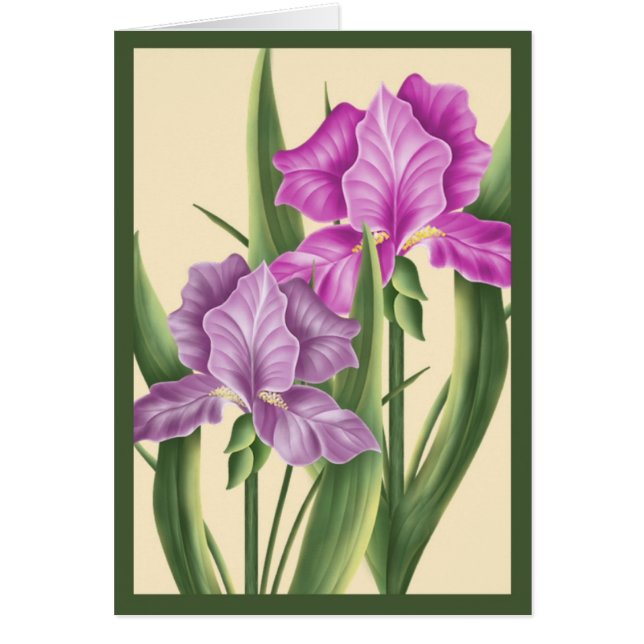 Pink Iris Cards (Front)