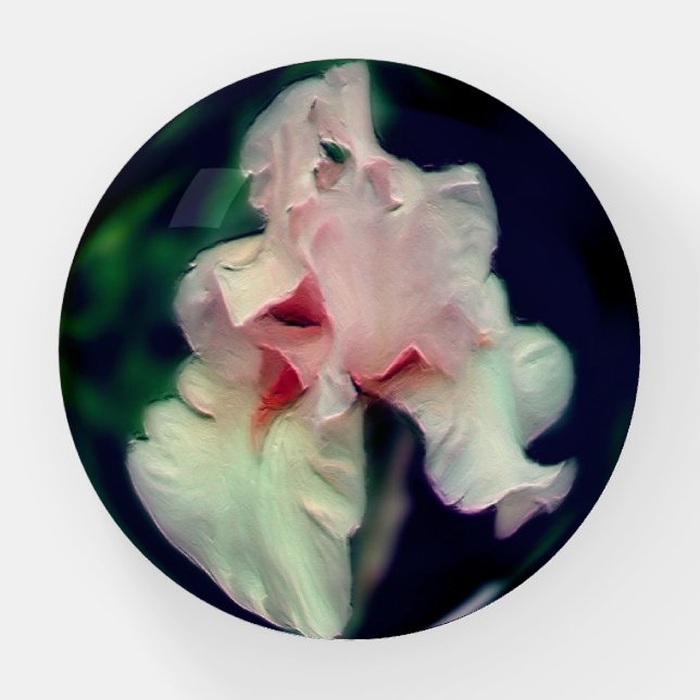 Pink Iris Floral Abstract Art  Paperweight (Front)