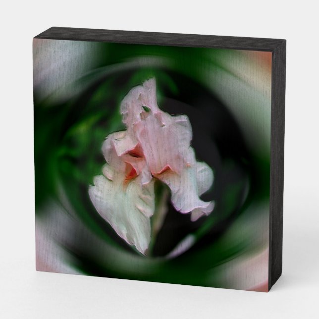Pink Iris Floral Abstract Art  Wooden Box Sign (Angled Horizontal)