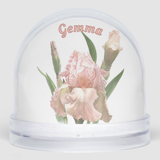 Pink Iris Flower Botanical Art Personalized Snow Globe (Front)