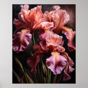 Pink Iris Flowers Art Print Poster