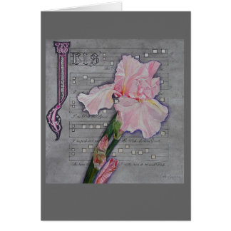 Pink Iris Manuscript Cards