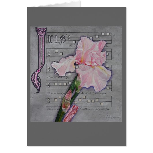 Pink Iris Manuscript Cards (Front)