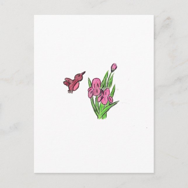 Pink Iris Postcard (Front)