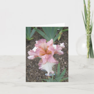 Pink Iris Small Note Card