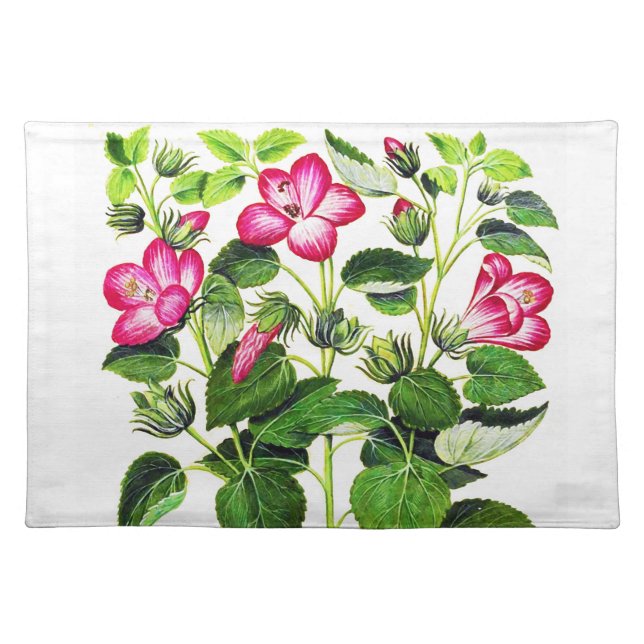 Pink Italian Hibiscus flowers, vintage print Cloth Placemat (Front)