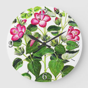 Pink Italian Hibiscus flowers, vintage print Large Clock