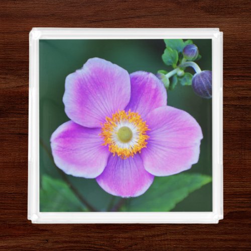 Pink Japanese Anemone Floral Acrylic Tray