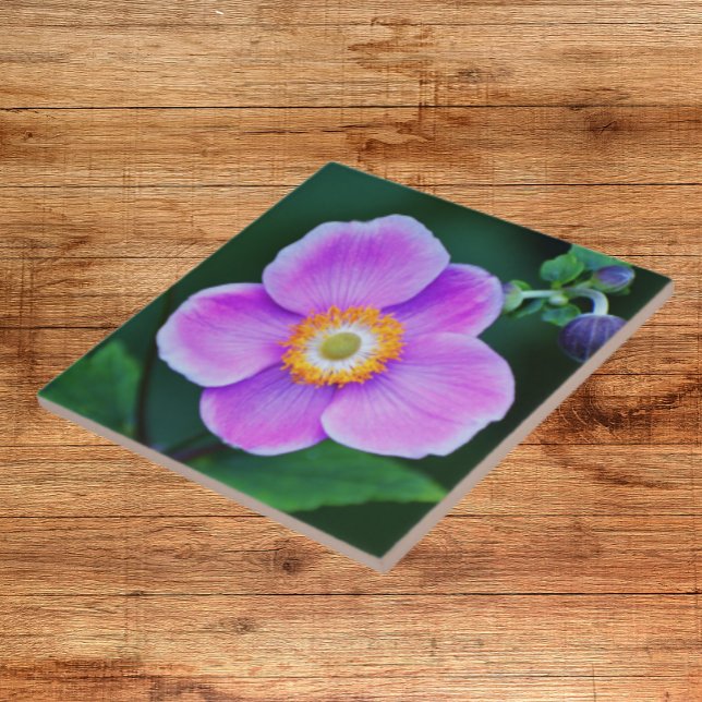 Pink Japanese Anemone Floral Ceramic Tile (In Situ)