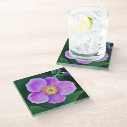 Pink Japanese Anemone Floral Glass Coaster