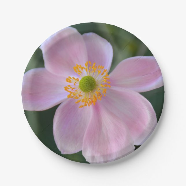 Pink japanese anemone flower paper plates (Front)