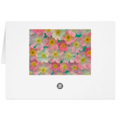 Pink Japanese Anemones Card (Back Horizontal)