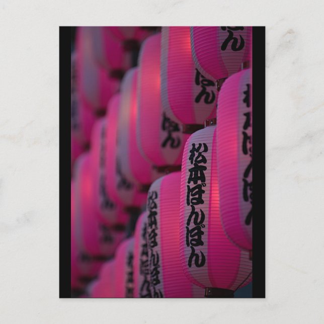 Pink Japanese Lanterns Postcard (Front)