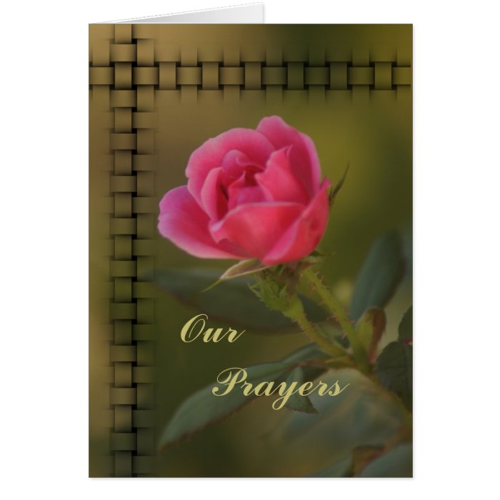 Pink Knockout Prayer card  customize