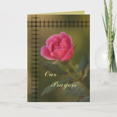 Pink Knockout Prayer card_ customize Card