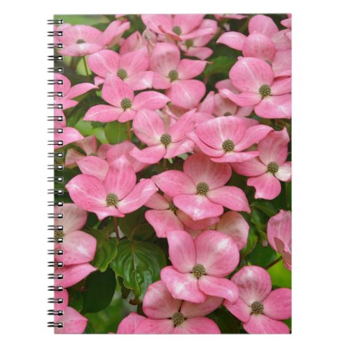 Pink kousa dogwood flowers print notebook