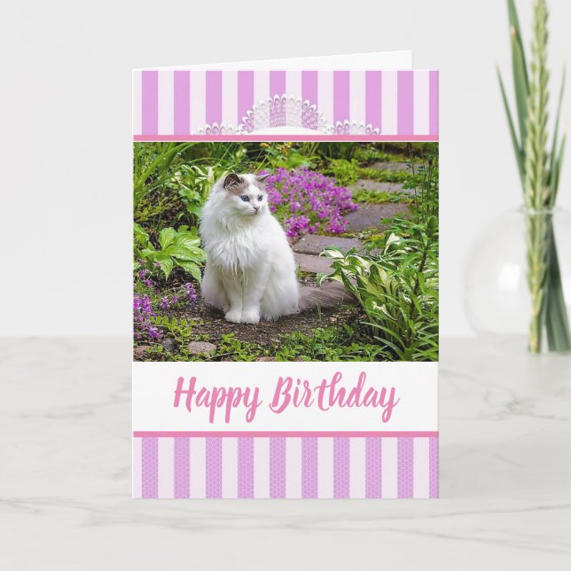 Pink Lace Birthday Card with White Cat Photograph (Front)