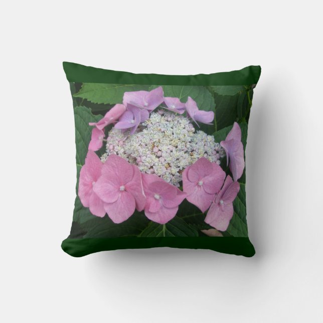 Pink Lace-Cap Hydrangea Blossoms - Pillow (Front)