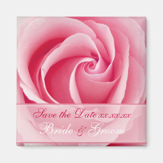 Pink Lady Rose Save The Date Magnet