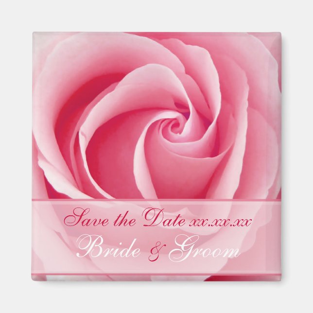 Pink Lady Rose Save The Date Magnet (Front)