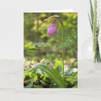 Pink Lady Slipper Blank Note Card