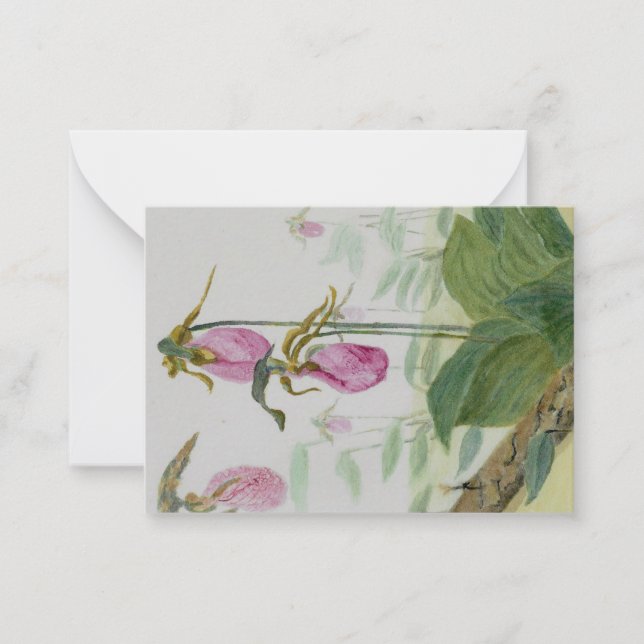 Pink Lady Slipper Flat Notecard  (Front)