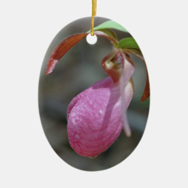 Pink Lady Slipper Flower Ornament (Front)