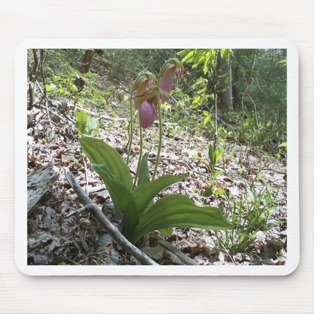 Pink lady slipper Orchid Mouse Pad (Front)