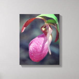 Pink Lady Slipper Orchid Raindrop Canvas Print