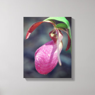 Pink Lady Slipper Orchid Raindrop Canvas Print