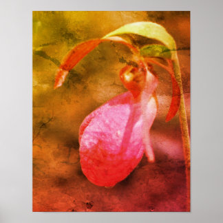 Pink Lady Slipper Orchid Raindrop Distressed Art Poster