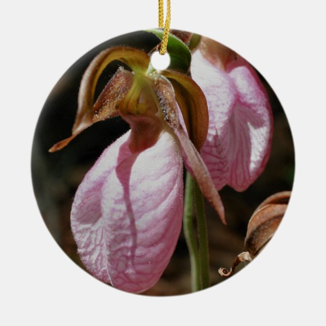 Pink Lady Slipper Pair Flower Ornament (Front)